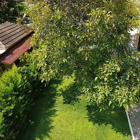 Apartman Dimitris Néa Plája