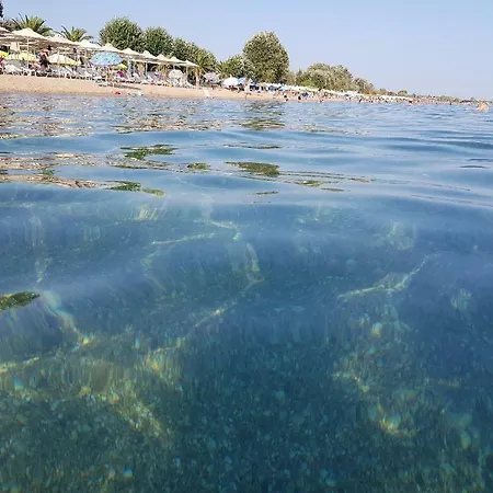 Dimitris Appartement Nea Plagia